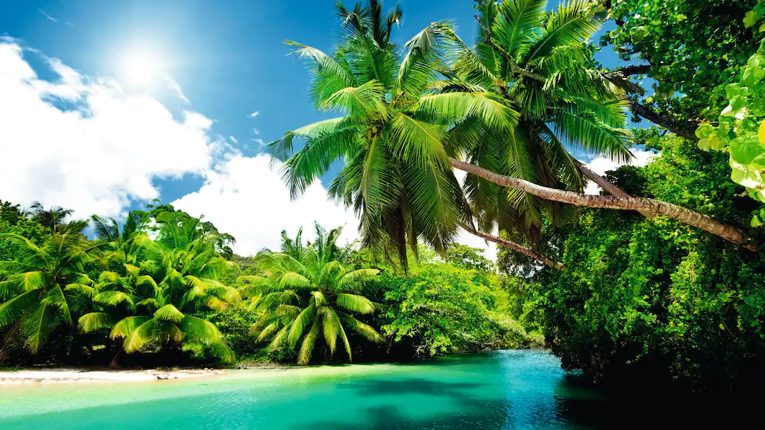 Seychelles Tour Packages